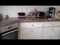 Milf fickt den sohn der freundinhegmot9t